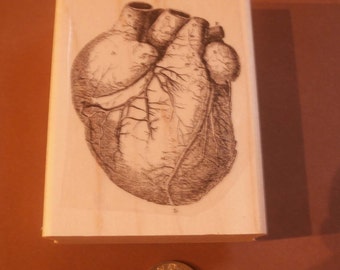 Anatomical Heart rubber stamp  P20