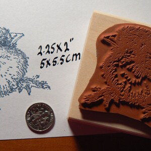 Baby Chicken rubber stamp Chick WM P27 image 2