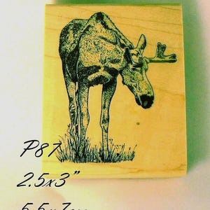 May include: A square wooden rubber stamp featuring a black ink illustration of a moose standing in grass. The stamp is labeled P87 and includes dimensions of 2.5x3 inches and 5.5x7 cm printed in black text on the light wood surface.