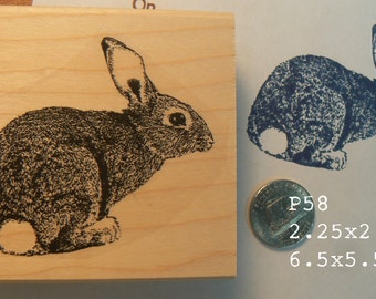 P58 Hase, Hase Stempel