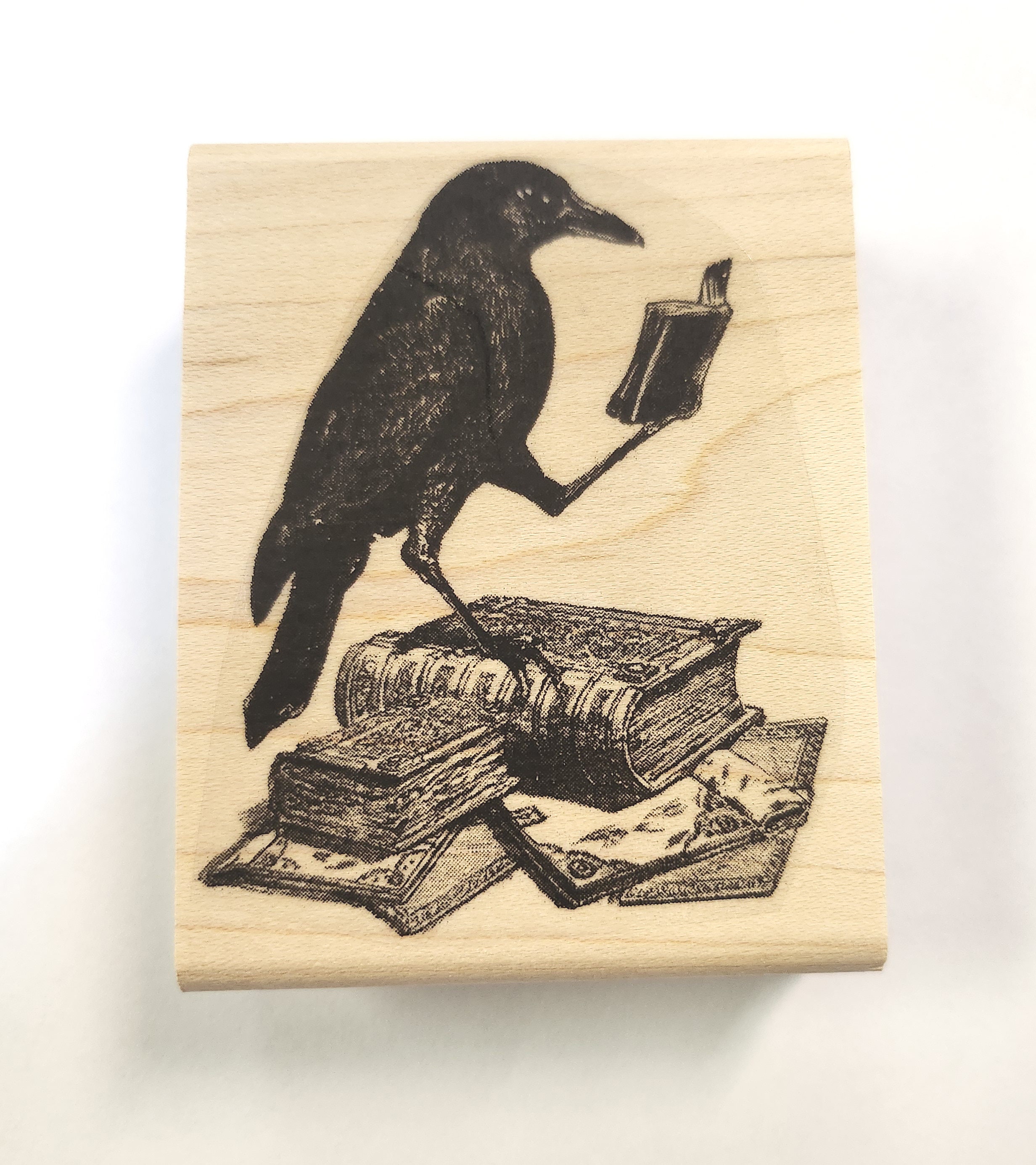 Crow プロフ必読 Crow Reading a Book Rubber Stamp P51 - Etsy