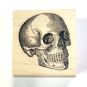 Skull rubber stamp P30