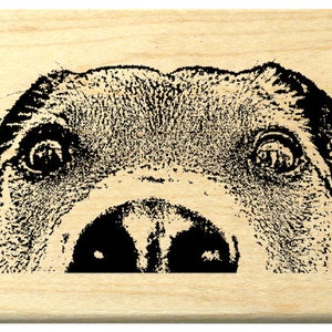 P119 Guckender Hund Stempel