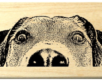 P119 Peeking Dog rubber stamp