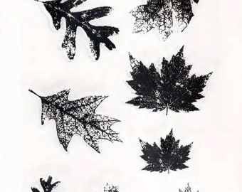 Clear Sheet of beautiful leaves- Nature- 6x4"