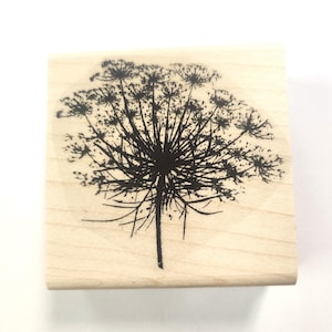 P57 Queen Ann&#39;s lace flower rubber stamp