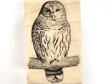 Owl rubber stamp WM P31