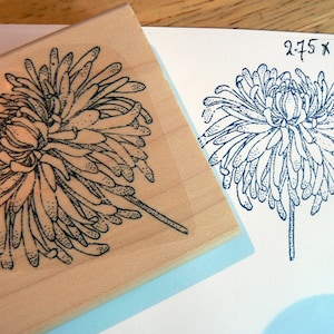 chrysanthemum flower rubber stamp WM P3