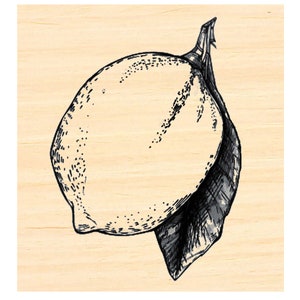 P135 Lemon- Fruit  Rubber Stamp