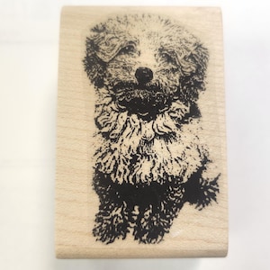 Poodle rubber stamp   P15