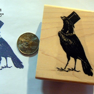 P53 Corbeau, merle avec haut-de-forme