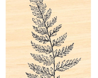 P121 Fern rubber stamp