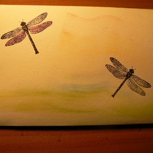 Dragonfly rubber stamp P11 image 2