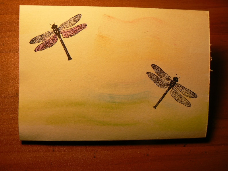 Dragonfly rubber stamp P11 image 2