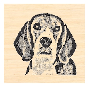 Carimbo de borracha de cachorro Beagle P121