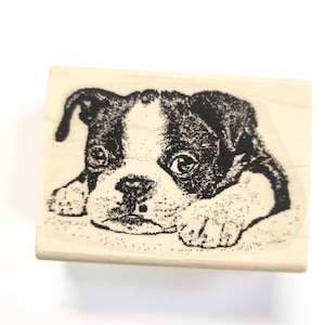 Sello de goma con forma de cachorro de perro Boston Terrier P4