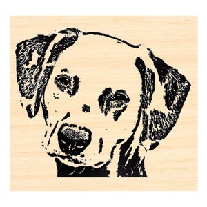 May include: Black and white illustration of a dog's head. The dog has a short, smooth coat and floppy ears.
