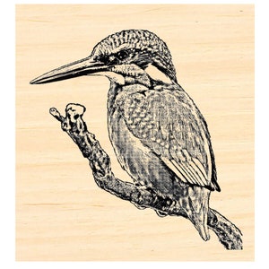 Carimbo de borracha P137 Kingfisher Bird