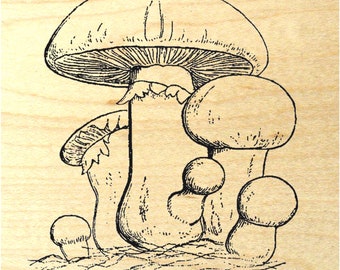 mushrooms rubber stamp P17