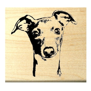 Italian greyhound puppy 2x2.4 NEW Rubber stamp WM P5