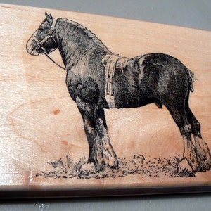 Clydesdale paardenrubberstempel op maat gemaakt WM P4