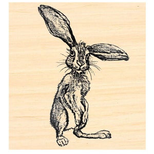 P137 Bunny, rabbit, hare  rubber stamp