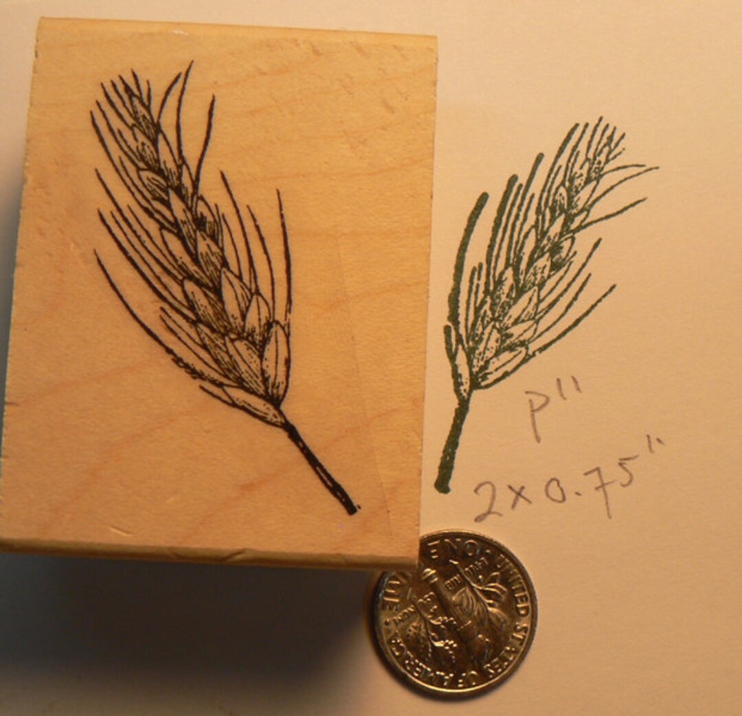 Wheat Rubber Stamp WM P11 Etsy