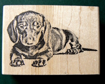 dachshund rubber stamp WM P16