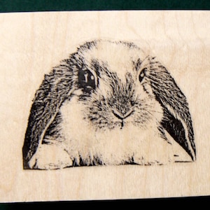 Sello de goma Bunny Lop WM grabado en profundidad P22