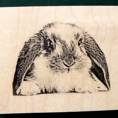 Bunny Lop Rubber Stamp WM Deep Etched P22 Etsy