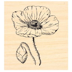 Tampon en caoutchouc miniature fleurs de pavot P140