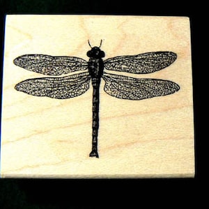 Dragonfly rubber stamp P11 image 1