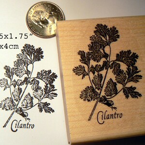 Timbro di coriandolo WM P55
