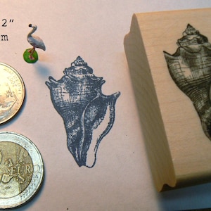 P65 sea shell rubber stamp
