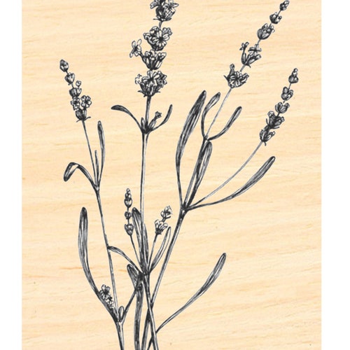 P106 Large Lavender Rubber Stamp Etsy