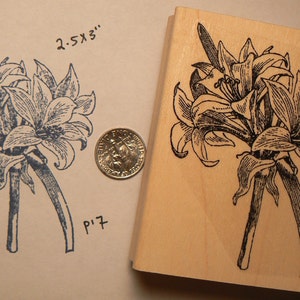 Carimbo de borracha de flores Lily boquet P17