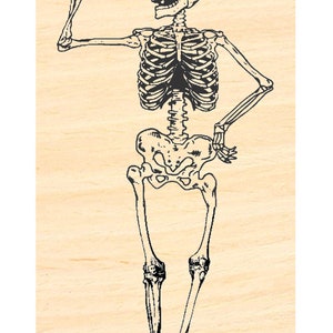 May include: A black and white illustration of a skeleton taking a selfie with a smartphone.