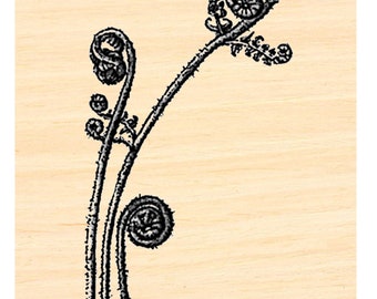 P121 Fiddle head Fern rubber stamp