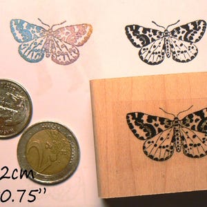 Moth, butterfly rubber stamp P60