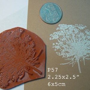P57 Queen Ann's Lace Flower Rubber Stamp - Etsy