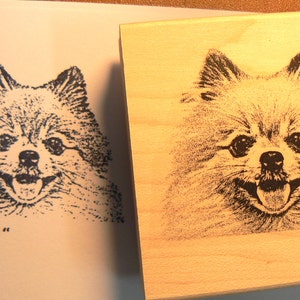 Pomeranian dog rubber stamp P35