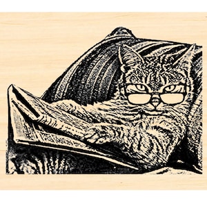 P137 Kattenlezing met rubberen stempel bril