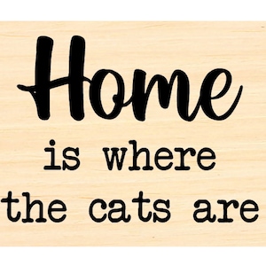 P134 Zuhause ist, wo die Katzen sind