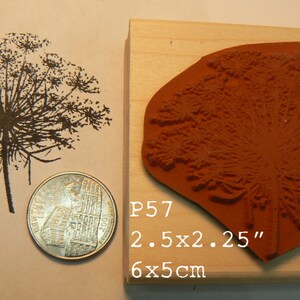 P57 Queen Ann's Lace Flower Rubber Stamp - Etsy