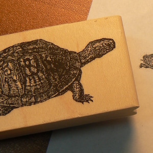 P42 Schildkröte Stempel