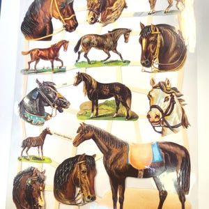 Cortes de papel para cavalos - Linda sucata alemã, papel em relevo cortado 7302 Cavalos