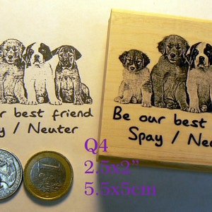 Be our best friend dog rubber stamp