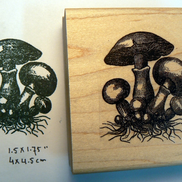 P46 Vintage mushrooms 1.4x1.75" rubber stamp