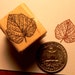 P24 Miniature Cherries Rubber Stamp Wm
