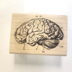 May include: A wooden stamp with a black and white illustration of a human brain with labeled parts. The labels include: Cb, Ro, Po, Cbt, P, and Mo.